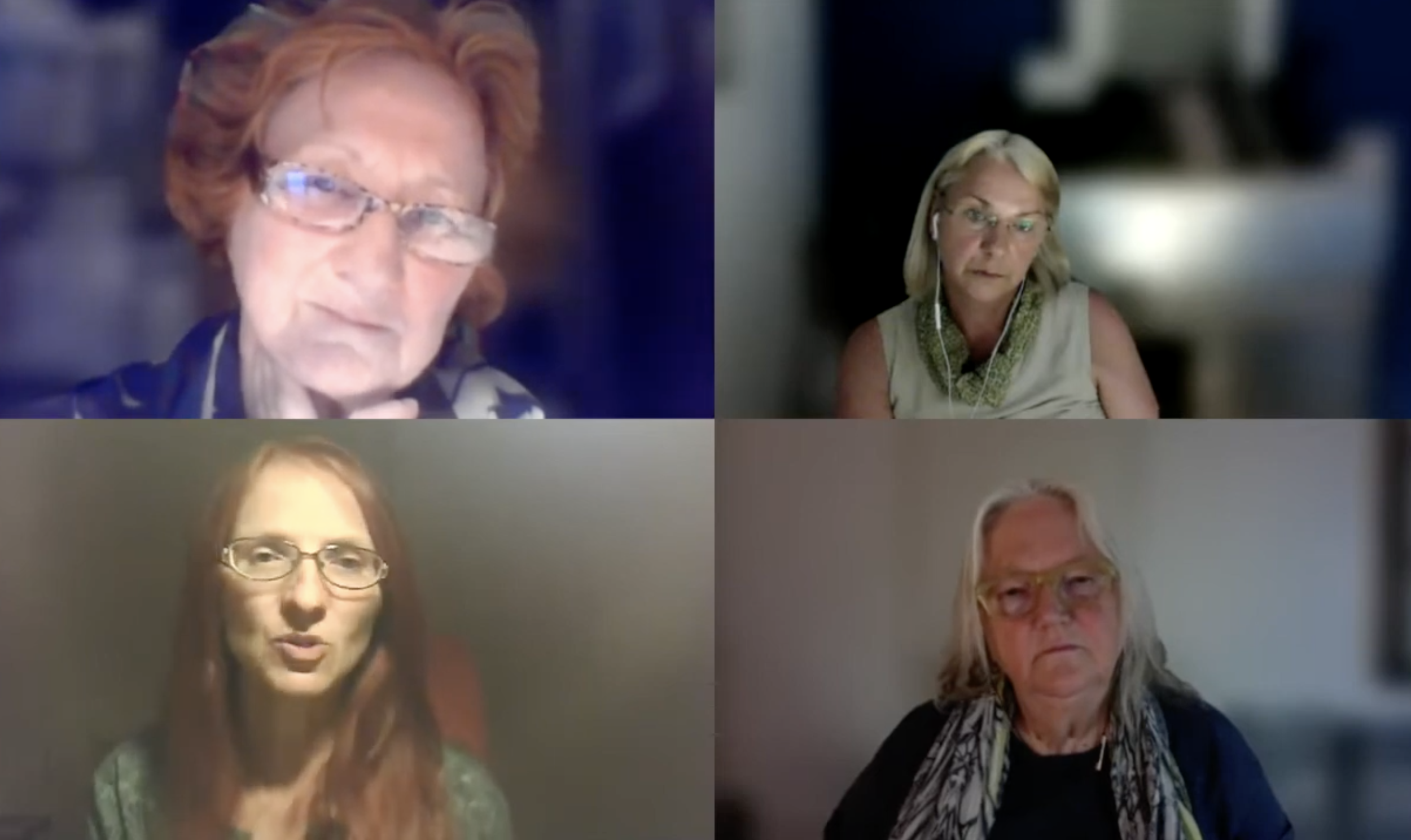 Resümee der Veranstaltung Covid-Stimuli in der EU: Welche Fragen müssten gestellt werden? Ein feministischer Blick auf Konjunkturpakete und Finanzierungsfragen.